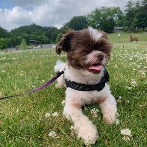 Meet your Posher, Amy